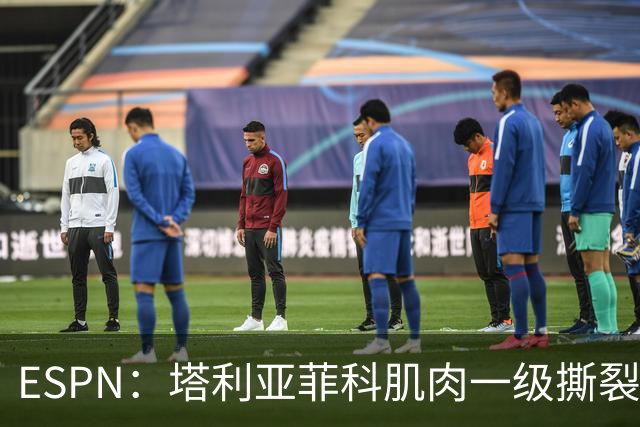 ESPN：塔利亚菲科肌肉一级撕裂，至少缺席世界杯前两场小组赛